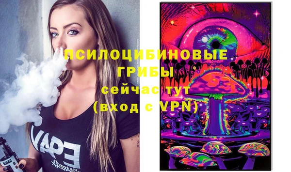 меф Богородицк
