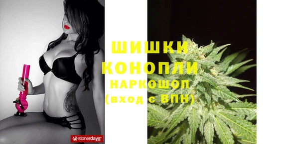 соль ск Богданович