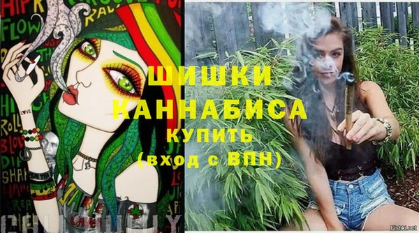 соль ск Богданович