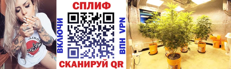 Купить закладки  Воткинск  Конопля OG Kush 